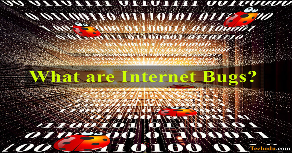 internet bugs